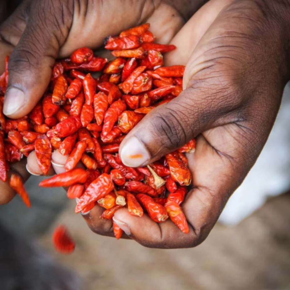 Piment - Grocery - Montpellier